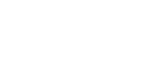 Fingerprint Digital